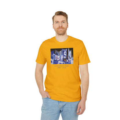 Flag Display T-Shirt | Unisex Graphic Tee for Everton Fans